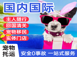黑河机场货运国际宠物托运 【国